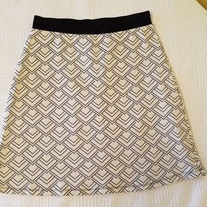 Gilli for Stitch Fix skirt